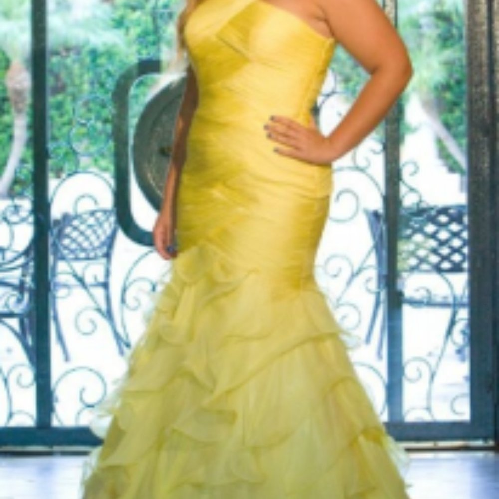 Formal Silk Mermaid Style Evening Dress Size 14